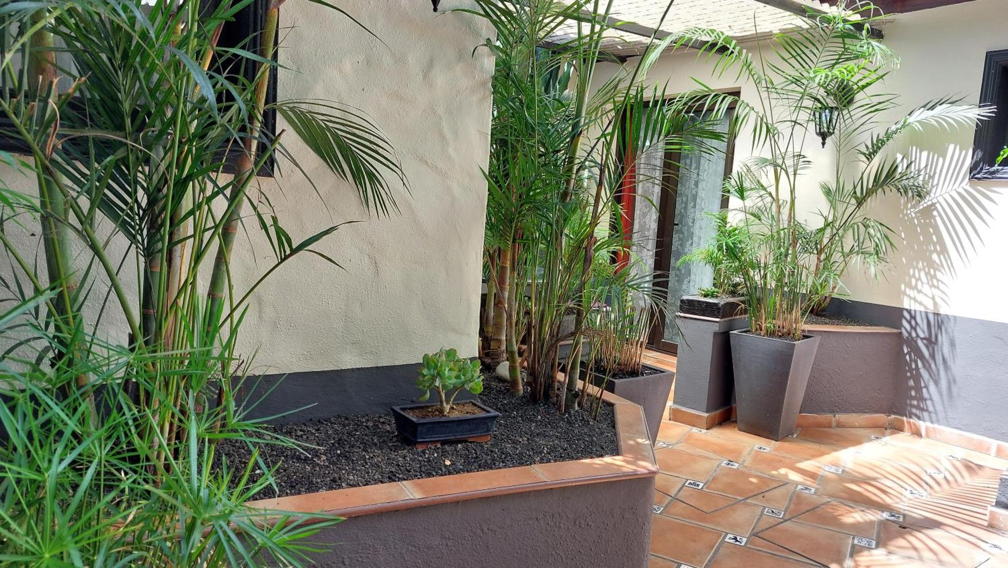 Apartamentos Monasterio De San Antonio - Adults Only Icod De Los Vinos Exterior photo
